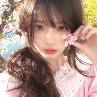 科搜研之女第24季